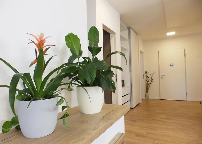 Vakantiehuis Vacation Bokan *